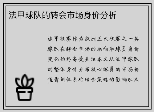 法甲球队的转会市场身价分析