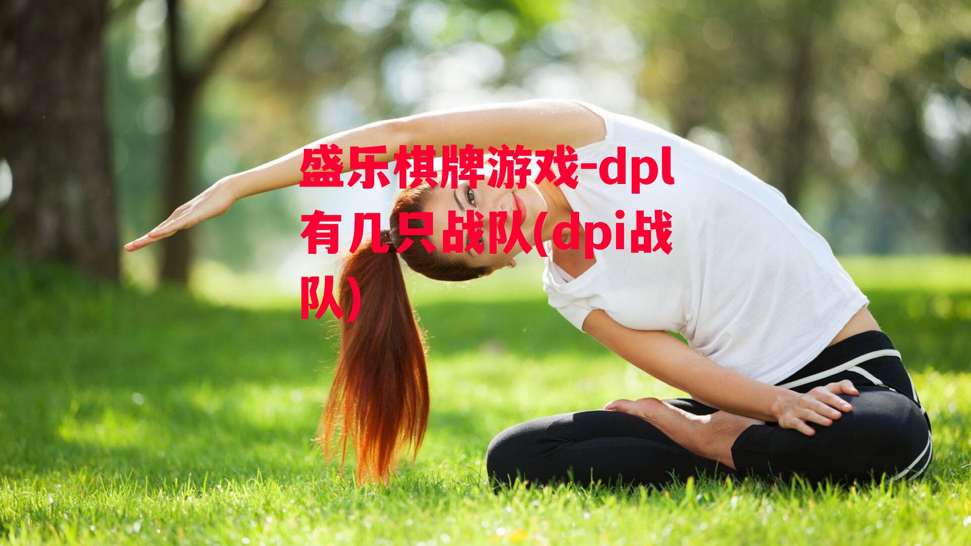 dpl有几只战队(dpi战队)